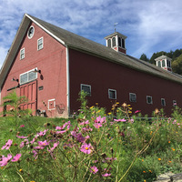 Cultural Heritage Curator Retreat Farm in Brattleboro VT