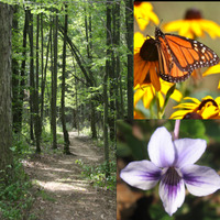 Cultural Heritage Curator Beech Creek Botanical Garden & Nature Preserve in Alliance OH