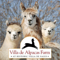 Cultural Heritage Curator Villa de Alpacas Farm in Aquasco MD