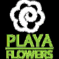 Cultural Heritage Curator Playa Del Rey Florist in Playa Del Rey CA