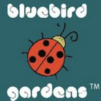 Bluebird Gardens Quilts and Gifts