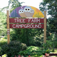 Cultural Heritage Curator Tree Farm Campground in Springfield VT