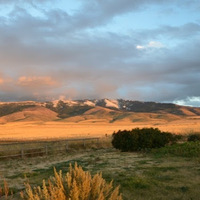 Cultural Heritage Curator Cgs Laserworks in Burley ID