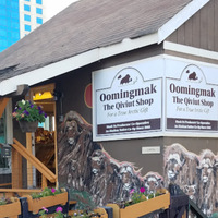 Cultural Heritage Curator Qiviut Shop - Oomingmak Musk Ox Producers Co-Op in Anchorage AK