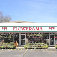 Cultural Heritage Curator Flowerama in Lorain OH