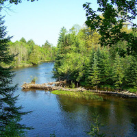 Cultural Heritage Curator Au Sable Riverview Resort in Grayling MI