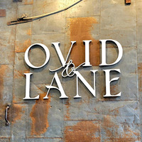 Cultural Heritage Curator Ovid & Lane in Charlottesville VA