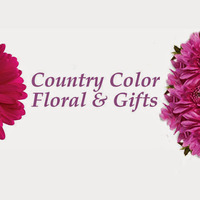 Cultural Heritage Curator Country Color Floral & Gifts in Francesville IN