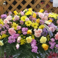 Cultural Heritage Curator Keith's Flower Shop in Mt Gilead OH