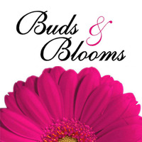 Tacoma Buds & Blooms