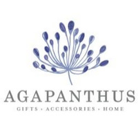 AGAPANTHUS - Gainesville