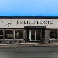 Cultural Heritage Curator Prehistoric Rocks Fossils Minerals in Lincoln City OR