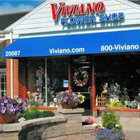 Cultural Heritage Curator Viviano Flower Shop in Grosse Pointe Woods MI