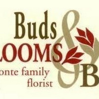 Buds Blooms & Beyond