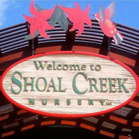 Cultural Heritage Curator Shoal Creek Nursery in Austin TX