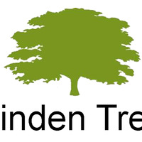 Linden Tree