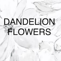 Cultural Heritage Curator Dandelion Flowers & Gifts in Alameda CA