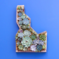 Cultural Heritage Curator A Succulent Day, LLC in Boise ID