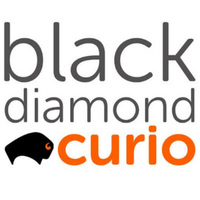 Cultural Heritage Curator Black Diamond Curio in Santa Fe NM