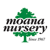 Moana Nursery