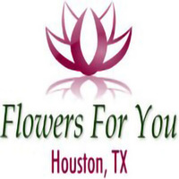 Cultural Heritage Curator Flowers For You in Houston TX