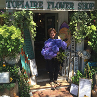 Cultural Heritage Curator Topiaire Flower Shop in Southampton NY