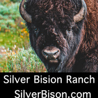 Cultural Heritage Curator Silver Bison Ranch | Bison Meat For Sale in Baldwin WI