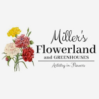 Cultural Heritage Curator Miller's Flowerland in Alliance OH