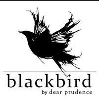 Cultural Heritage Curator blackbird by dear prudence in Northville MI