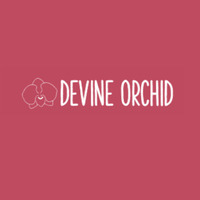 Cultural Heritage Curator Devine Orchids florist in Hamden CT