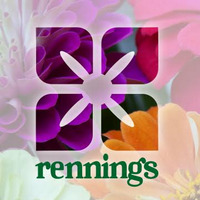 Cultural Heritage Curator Renning's Florist & Flower Delivery in Rochester MN