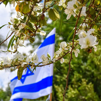 Holy Land Flowers