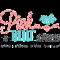 Cultural Heritage Curator Pink N Blue Avenue in Destin FL