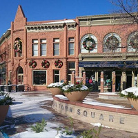 Cultural Heritage Curator Alpine Arts- The Colorado Showcase in Fort Collins CO