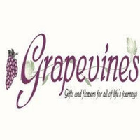 Cultural Heritage Curator Grapevines Flower Garden in Madison SD