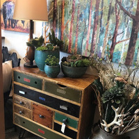 Cultural Heritage Curator A Walk In the Woods Gallery & Gifts in Custer SD