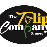 The Tulip Company & More, LLC