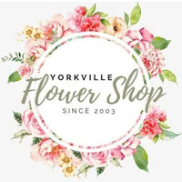 Cultural Heritage Curator Yorkville Flower Shop in Yorkville IL