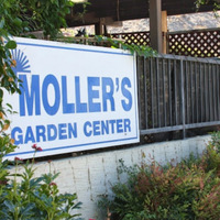 Cultural Heritage Curator Moller’s Garden Center in Palm Desert CA