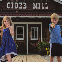 Cultural Heritage Curator Bayne's Apple Valley in Freeland MI